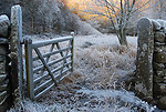 Lakes Landscapes