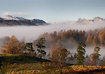 Panoramas